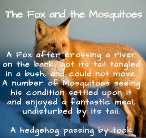 Short story, short stories with moral, shortest stories with moral, short stories for kids, the fox and the mosquitoes